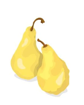 Two golden pears Stock Illustration