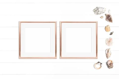 Two golden square frames and seashells on white background Stock Photos