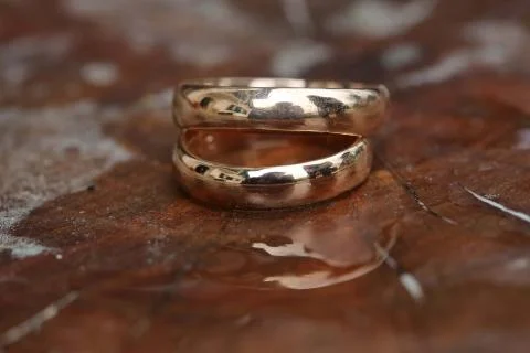 Two golden wedding rings Stock Photos