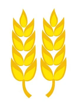 Two golden wheat ears vector illustration Stock Illustration