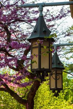Two gothic style building lanterns surrounded by flowering trees Stock Photos