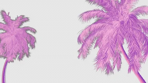 Two gradient palm trees on transparent background Stock Footage 310310743
