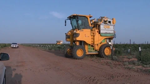 Two grape harvesters at work in a Texas vineyard, 4K. Stock Footage 79835972