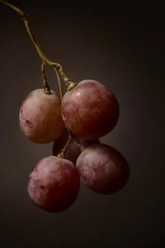Two grapes on a stem isolated on dark background Stock Photos