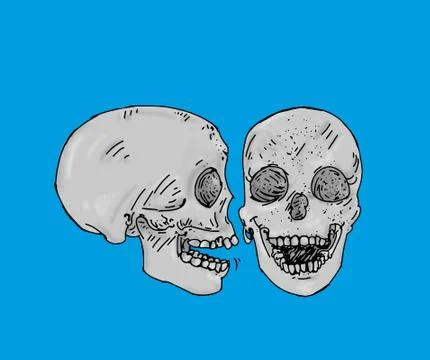Two gray skulls and one in front of human bones Stock Illustration