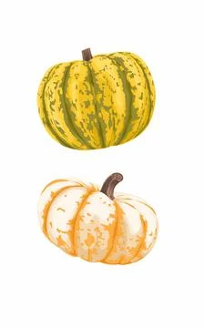 Two green and yellow pumpkins are shown on a white background. Halloween event f Stock Illustration