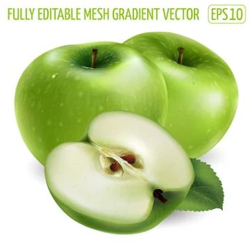Two green apple and a slice on white background. Stock Illustration
