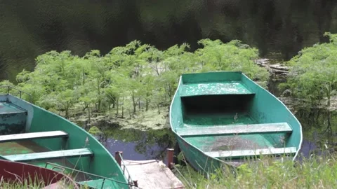 Two green boats on the river Stock Footage 132274595