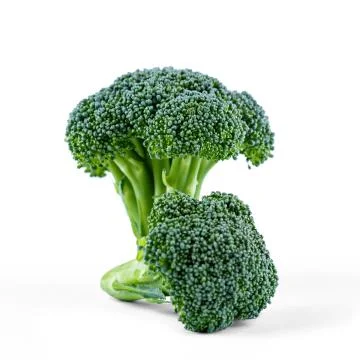 Two green broccoli isolated on white background Stock Photos