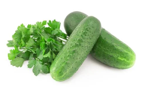 Two green cucumber Stock Photos