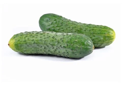 Two green cucumbers Stock Photos
