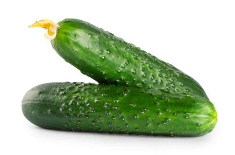 Two green cucumbers Stock Photos