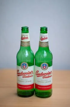 Two green empty Budweiser beer bottles. Stock Photos