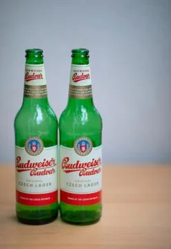 Two green empty Budweiser beer bottles Stock Photos