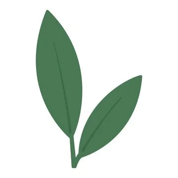 Two green leaves illustration with subtle veins on transparent background Stock Illustration