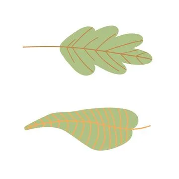 Two green leaves with simple, elegant design, ideal for nature blogs Stock Illustration