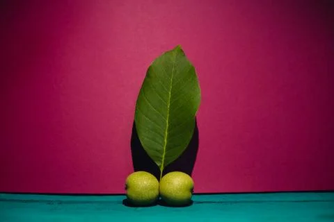 Two green nuts and a leaf on a pink background Stock Photos