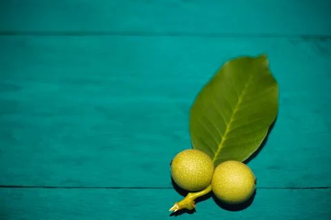 Two green nuts and a leaf on a blue background Foto stock