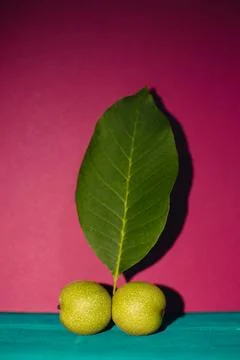 Two green nuts and a leaf on a pink background Stock Photos