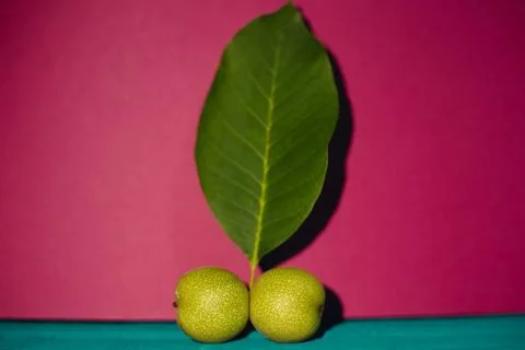 Two green nuts and a leaf on a pink background Stock Photos