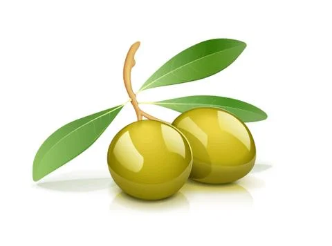 Two green olive with leaf Stock Illustration