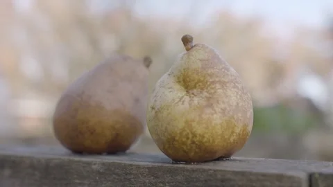 Two Green Pears Stock Footage 260277634