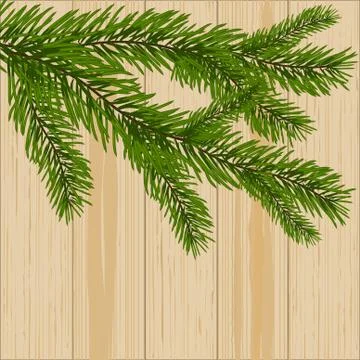 Two green spruce branches on the background of wood illustration Stock Illustration