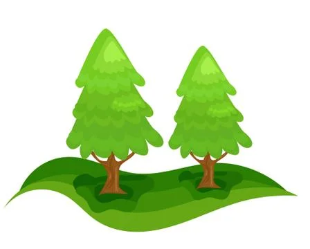 Two green spruce trees in forest. christmas tree Stock Illustration