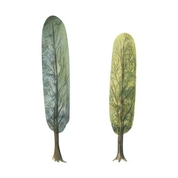 Two green trees with foliage. Hand-drawn watercolor illustration. Isolated Stock Illustration