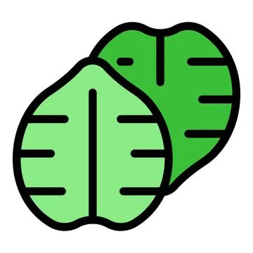 Two green walnut leaves overlapping creating a vibrant pattern Stock Illustration