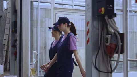Two Greenhouse Workers Enter Through Automatic Gate 库存影片 313598708