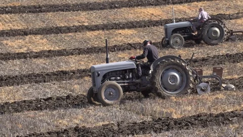 Two grey tractors competing in parallel in a ploughing match in Wiltshire, UK Stock Footage 331288610
