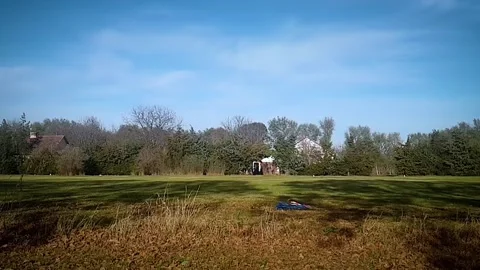 Two Greyhouds - Lure Coursing. Slow Motion. Stock Footage 249124360