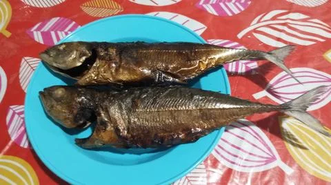 Two grilled singur fish 스톡 사진