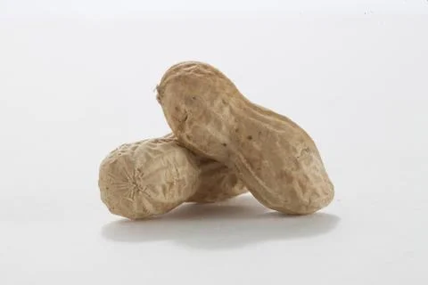 Two ground nuts Stock Photos