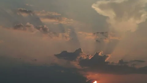 Two groups five and three birds in sunset Stock Footage 111768851