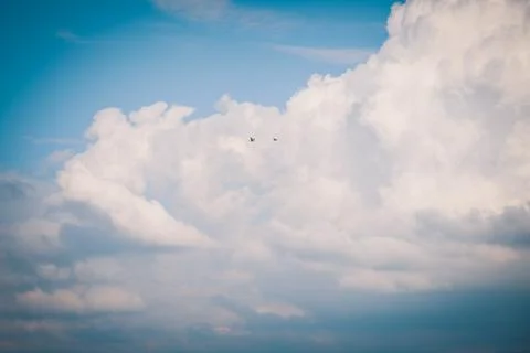 Two grus grus background clouds Stock-Fotos