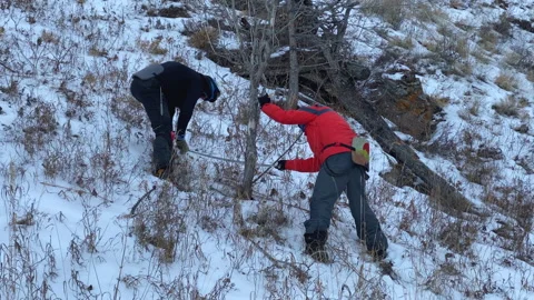 Two guys are preparing firewood. 動画素材 151064136