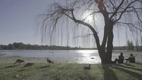 Two Guys Drinking by the lake Stock Footage 69232952