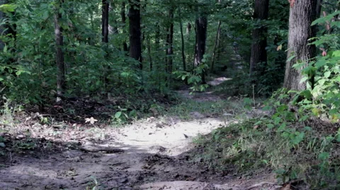 Two Guys Hike From Behind Frame Stock Footage 42007797