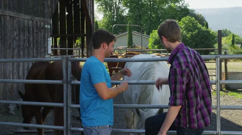 Two Guys at Horse Ranch Stock Footage 35293130