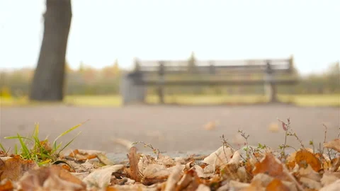 Two guys run down the track. Slow motion. Close-up Stock Footage 102266304