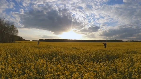 Two guys run to meet each other in a rapeseed field at sunset Stock Footage 202119982