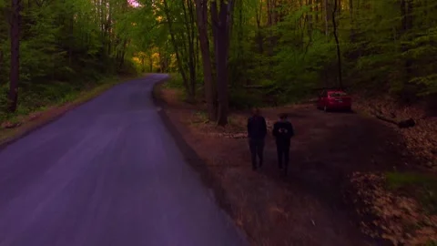 Two Guys Walking Toward a Forest Road Stock Footage 240518224