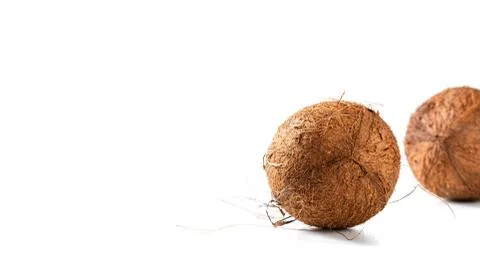 Two hairy coconuts on white background, with copy space for text Fotos Stock