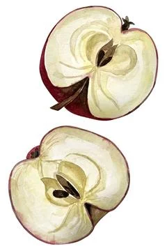 Two halfs Stock Photos