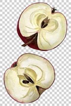 Two halfs Stock Photos