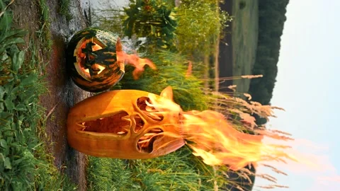 Two Halloween pumpkins are burning on the shore of the pond. Stock Footage 138124905