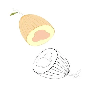 Two halved melons Иллюстрация