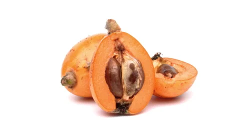 Two halves and one whole loquat rotating on white background. Stock Footage 159410326